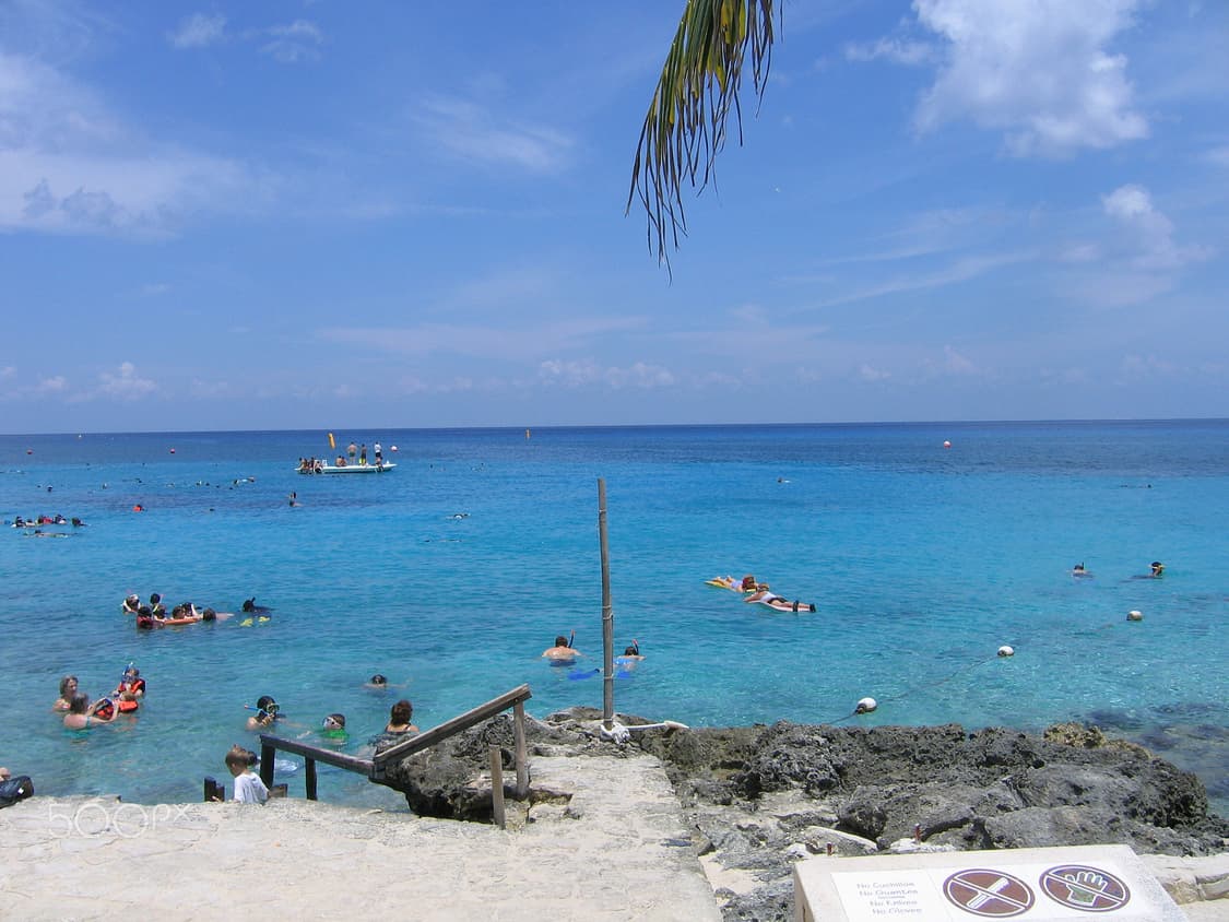 Canon  powershot a95(캐논 파워샷 a95) 상품이미지10