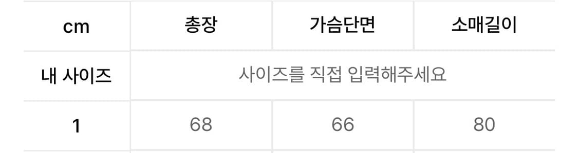 판매) [1]새상품 그레일즈 지오메트리 후드 ash sage 상품이미지3