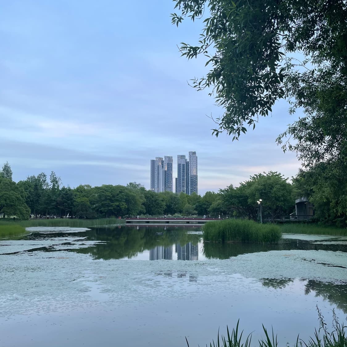 마리댁 상품이미지1