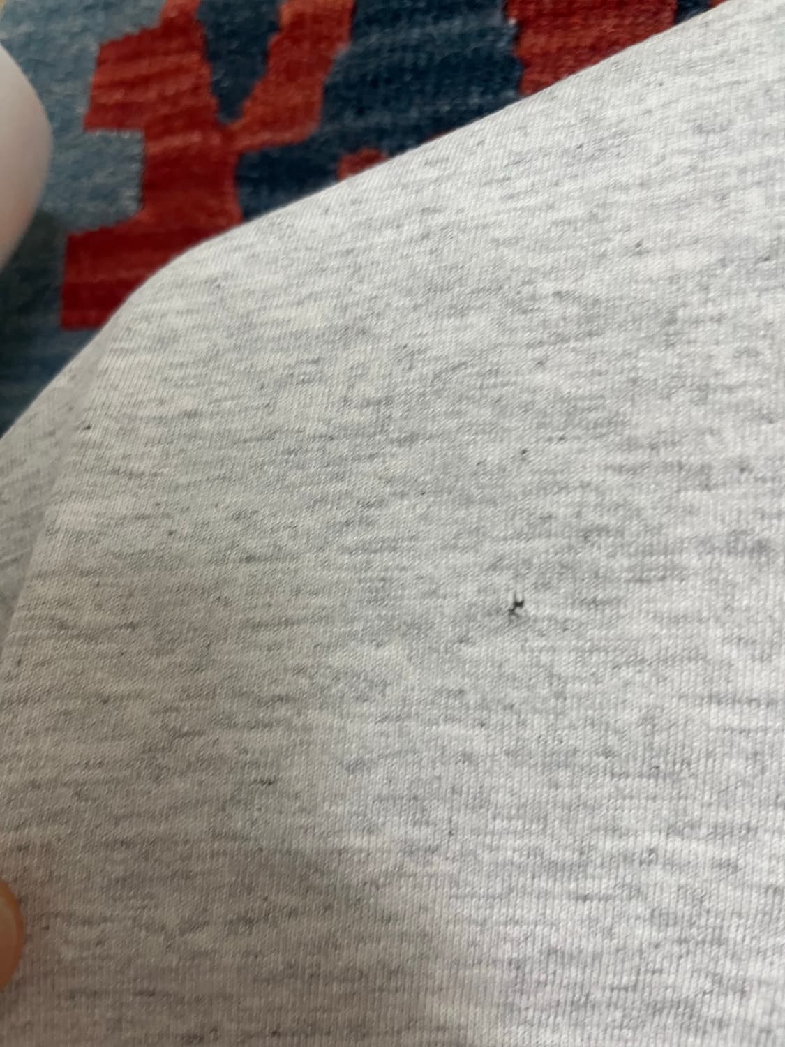빈티지 챔피언 마이애미 티셔츠 상품이미지2
