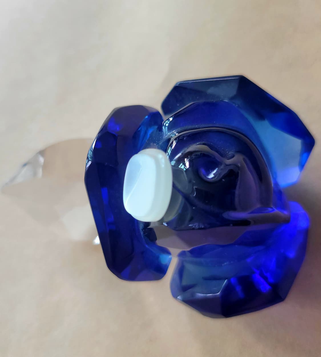 [Archive] 파리 전시회 샹크 자개 단추 (13mm, 24pcs) 상품이미지6