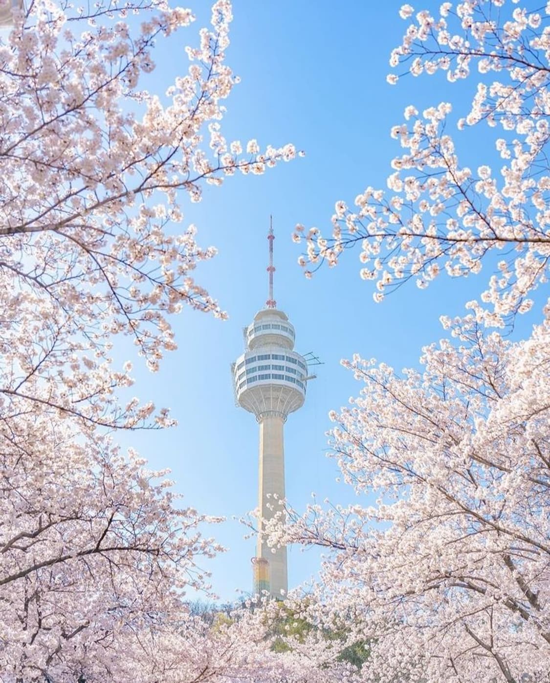개인결제창 상품이미지1