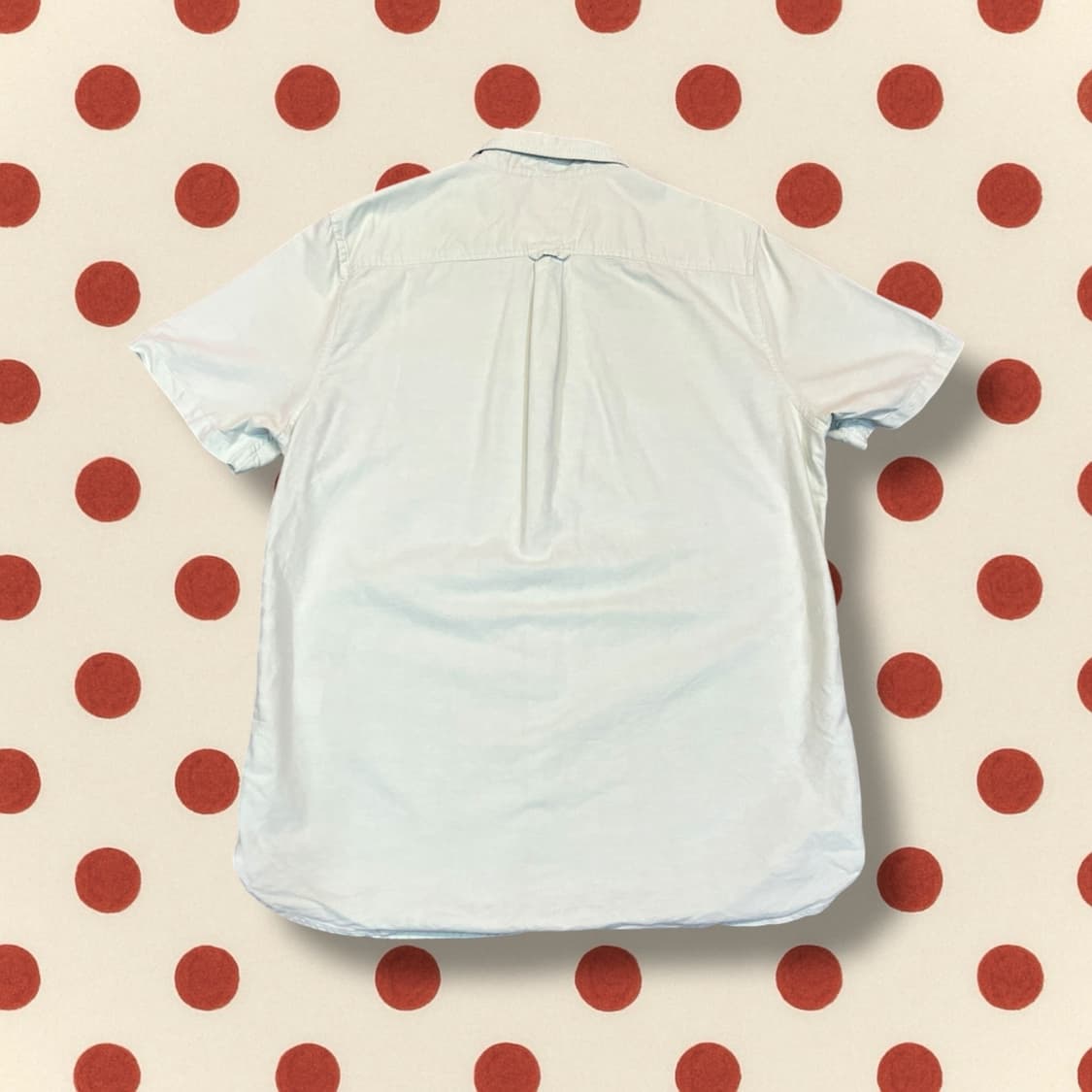 슈퍼드라이 옥스포드 반팔 셔츠 (XL) 상품이미지4