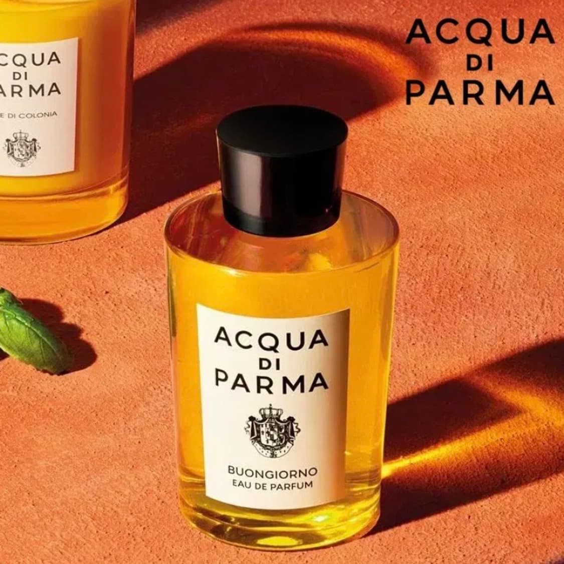 [정품] 아쿠아 디 파르마 본 조르노 오드퍼퓸 향수100ml(새제품) 상품이미지2