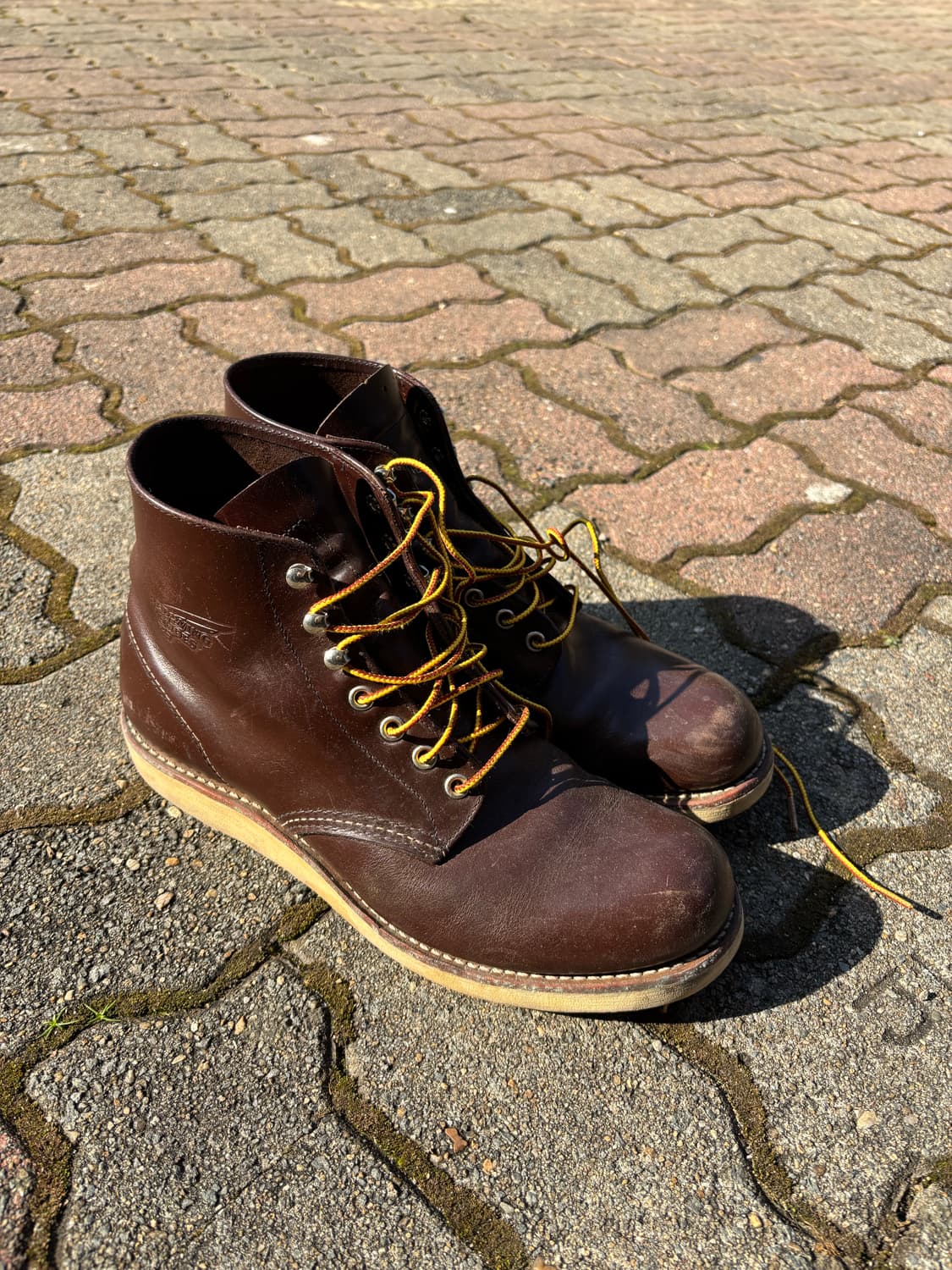 레드윙 8134 급처 상품이미지1