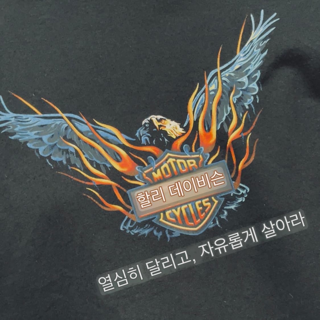 할리데이비슨 플레임 스웻셔츠 (105) 상품이미지3