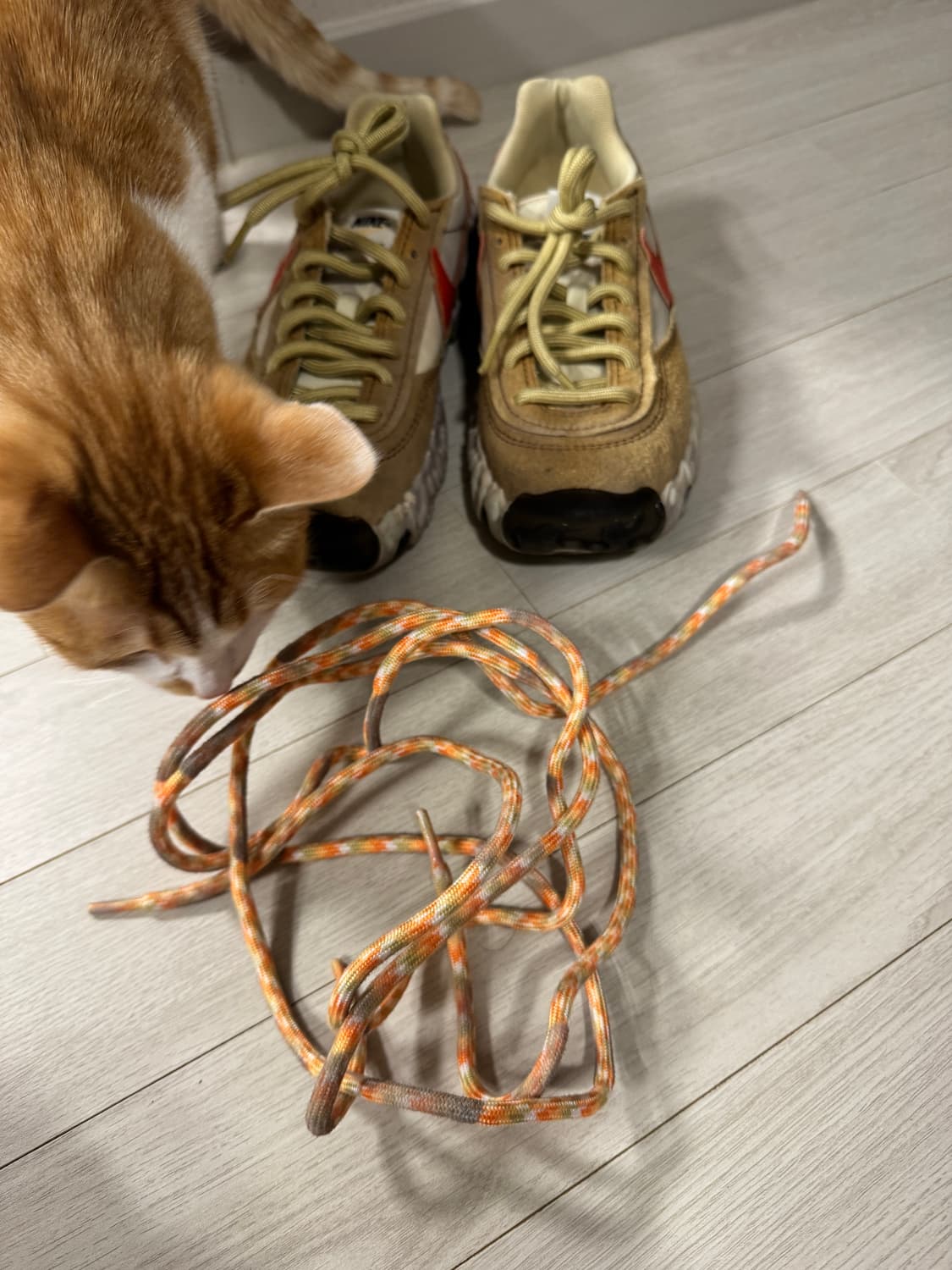 NIKE OVERBREAK SP 255 상품이미지3