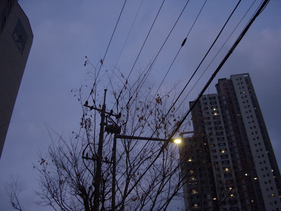 삼성케녹스a4디카 상품이미지7