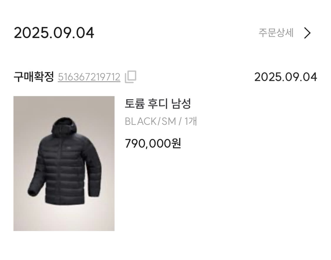 아크테릭스 토륨 후디 블랙 S 상품이미지6