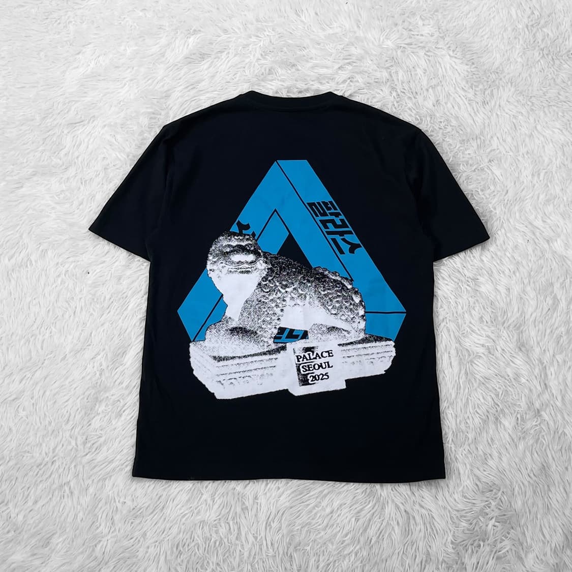 팔라스 서울 2 서울 트라이퍼그 반팔 티셔츠 블랙 상품이미지2