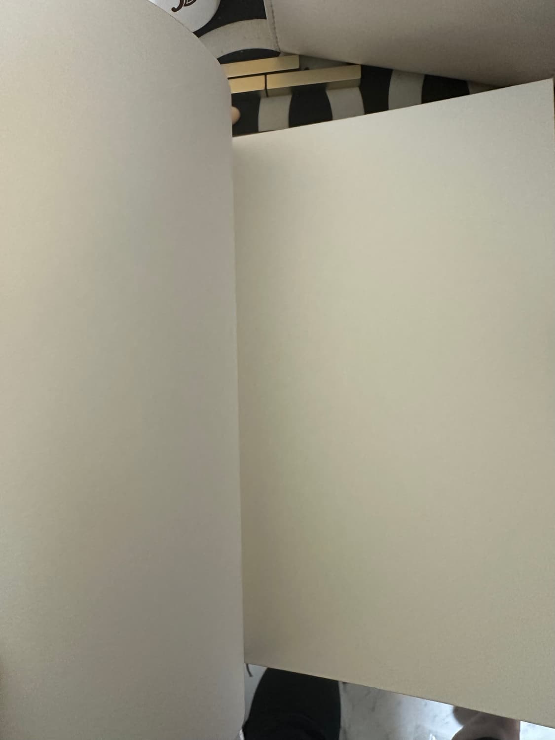 셀린느 트리오페 다이어리 상품이미지5