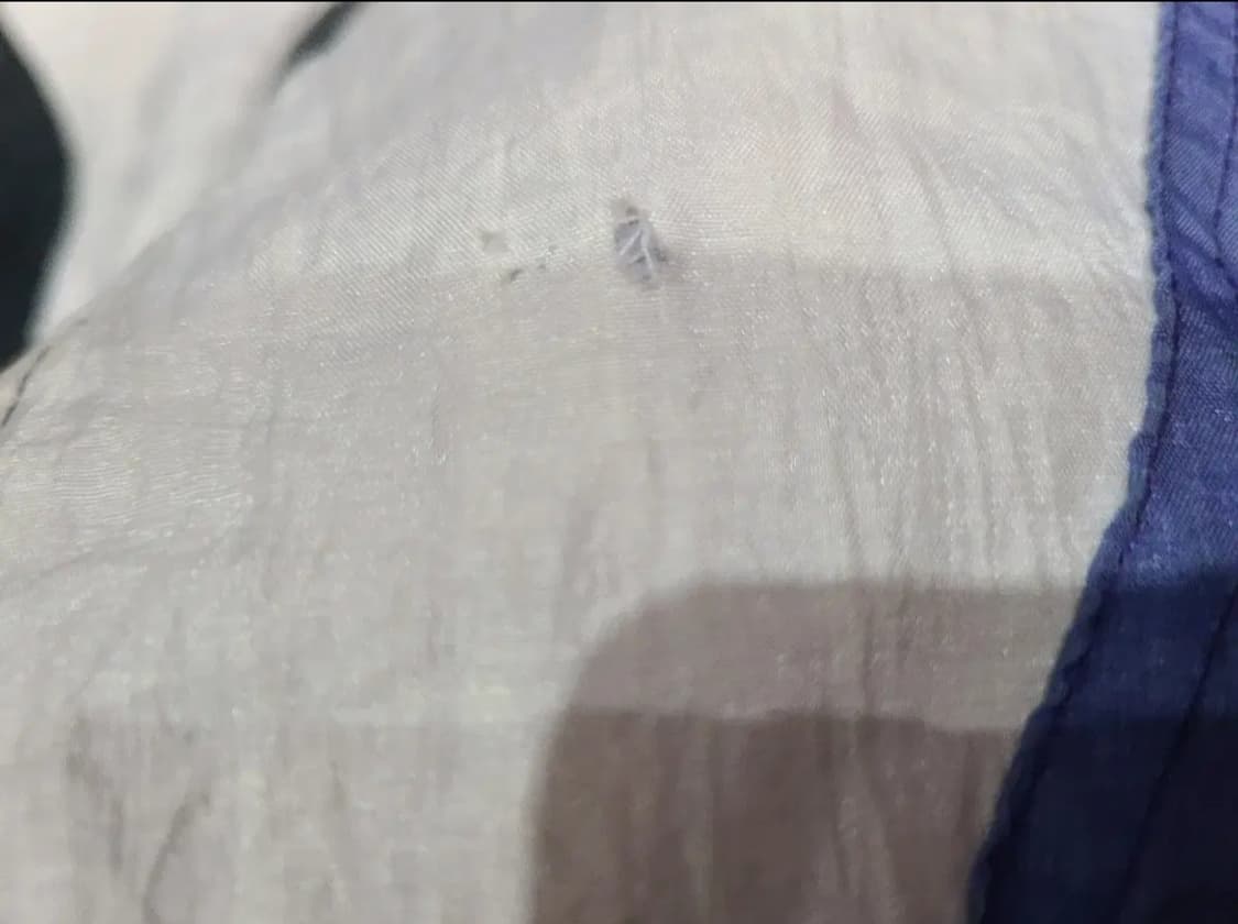 PRO PLAYER 토론토 랩터스 올드스쿨 바람막이 상품이미지7