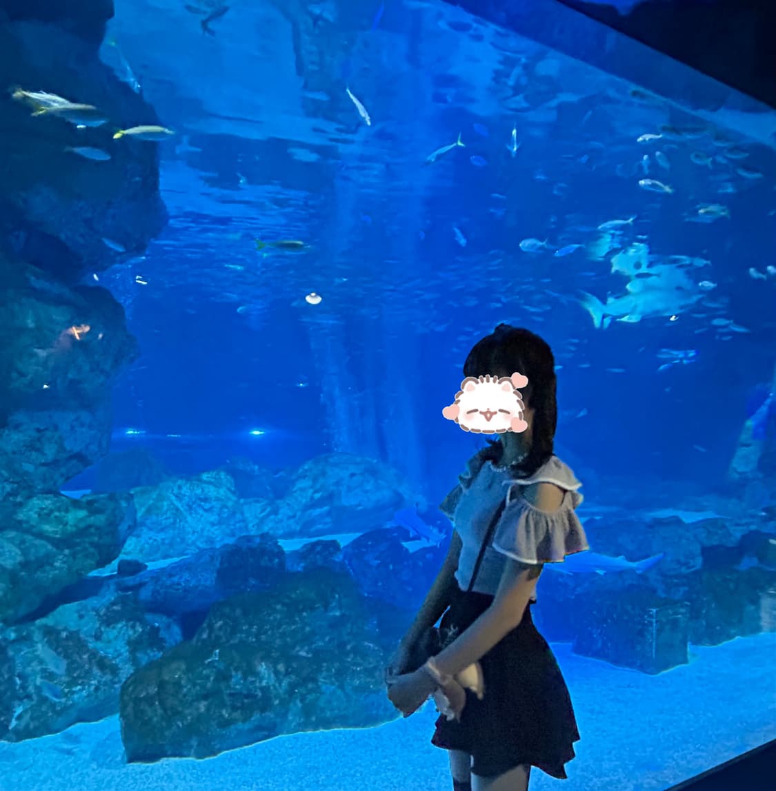 Ank rouge 앙크루즈 프릴 어깨트임 진주 반팔 니트 양산형지뢰계스나 상품이미지5