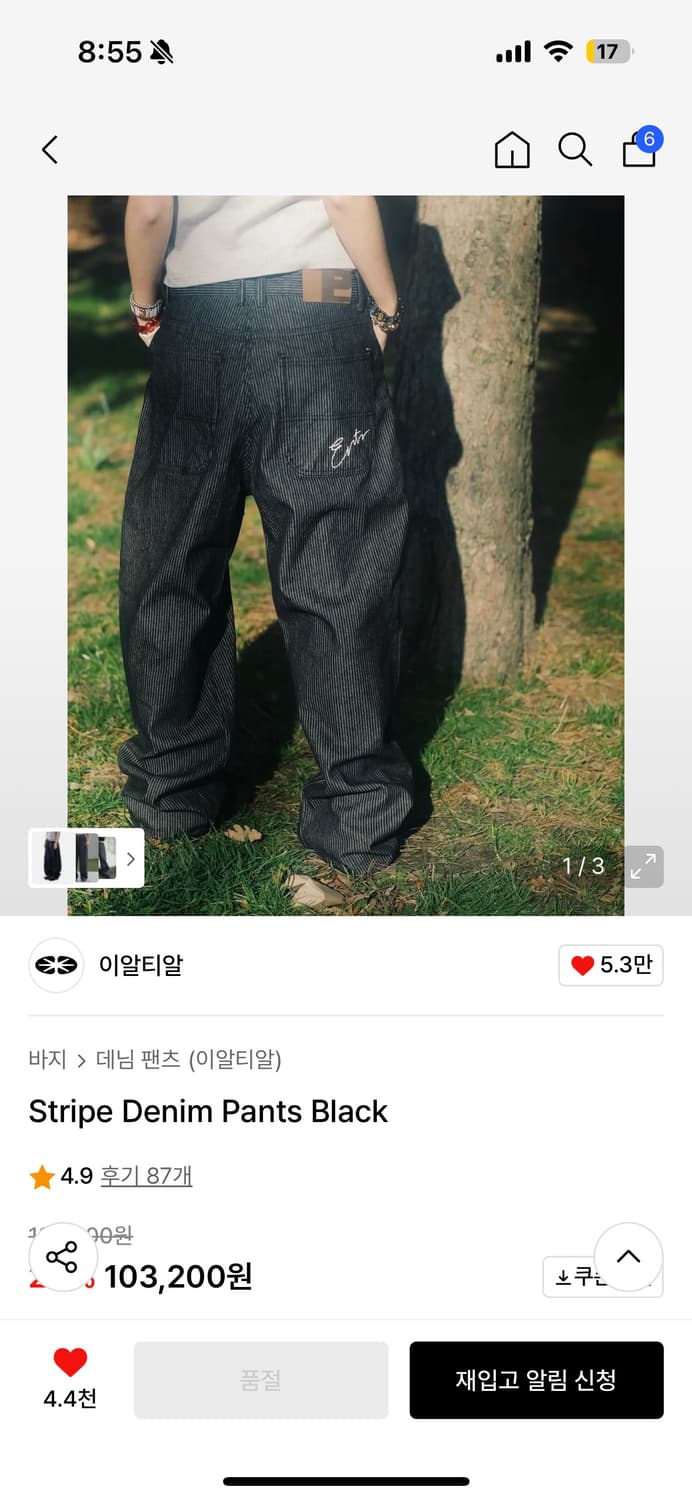 ertr스트라이프 팬츠 상품이미지1