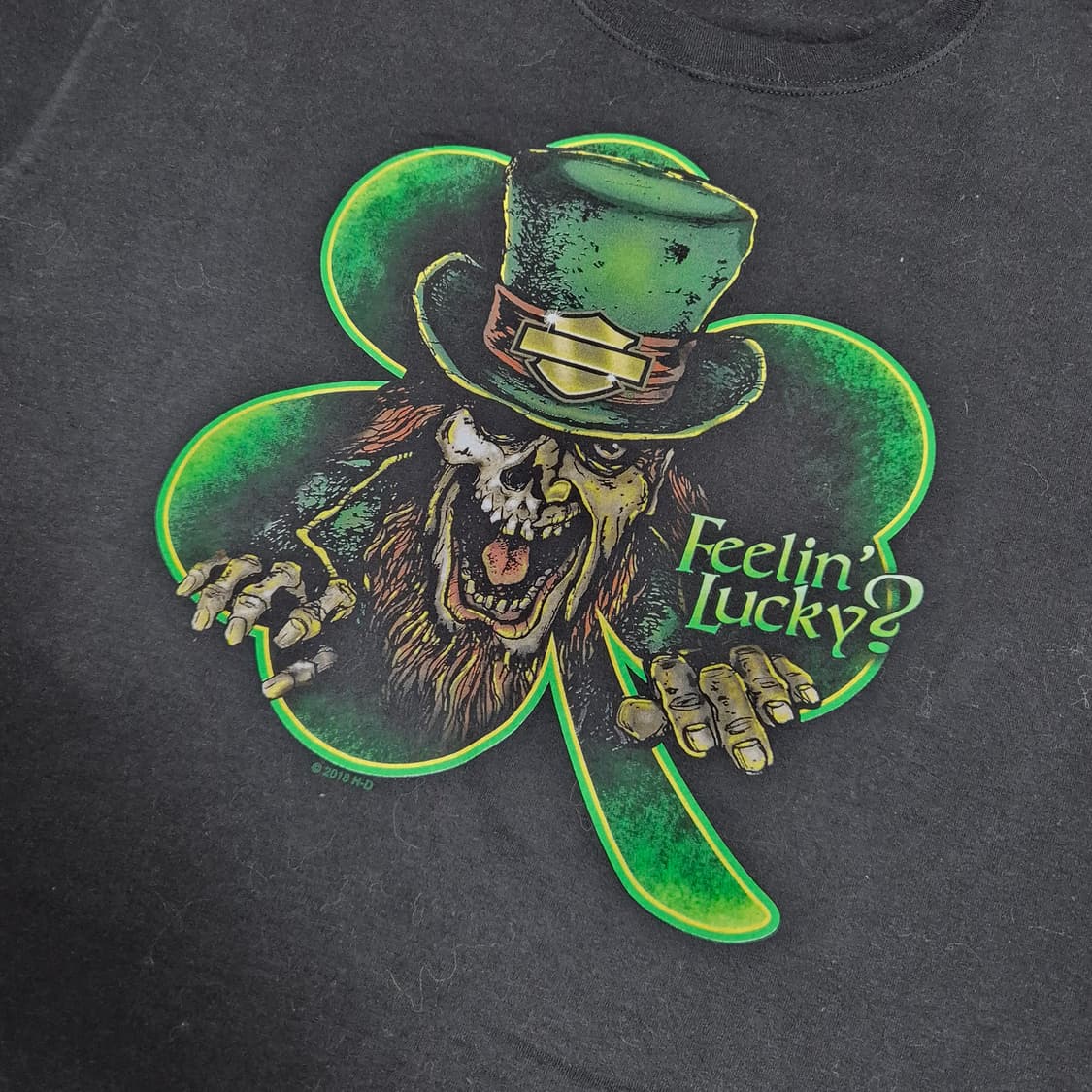 [XL]00s 할리데이비슨 사바나 -629 상품이미지2