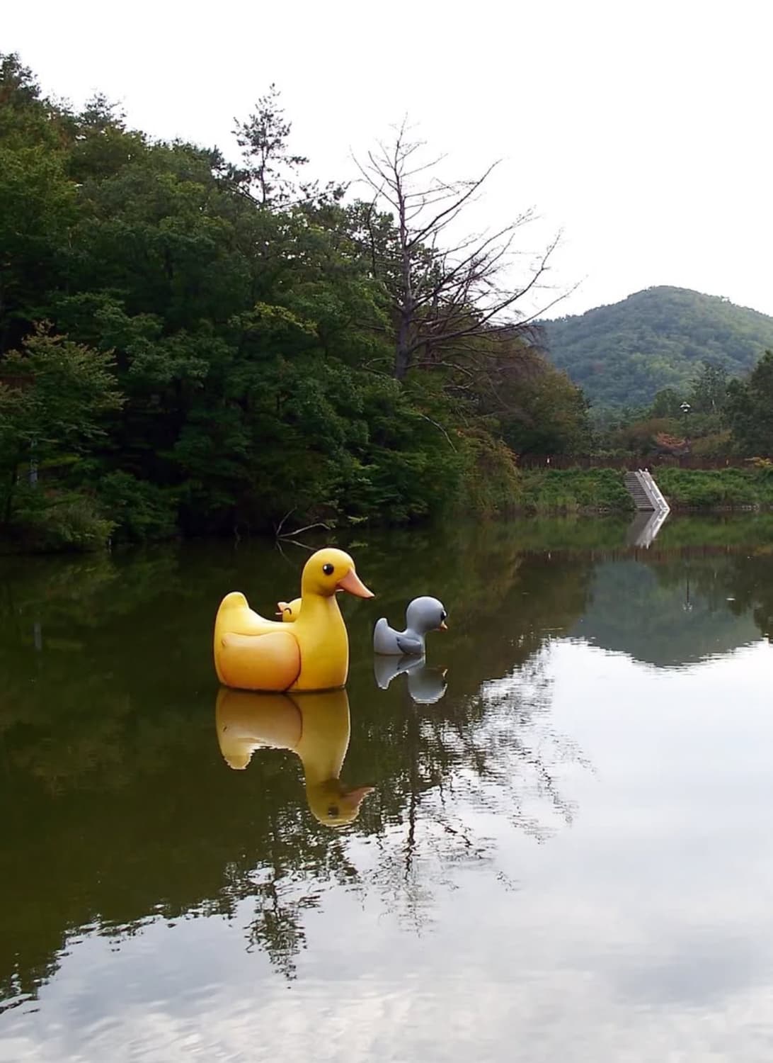 코닥 이지쉐어 z885 디지털카메라 상품이미지9