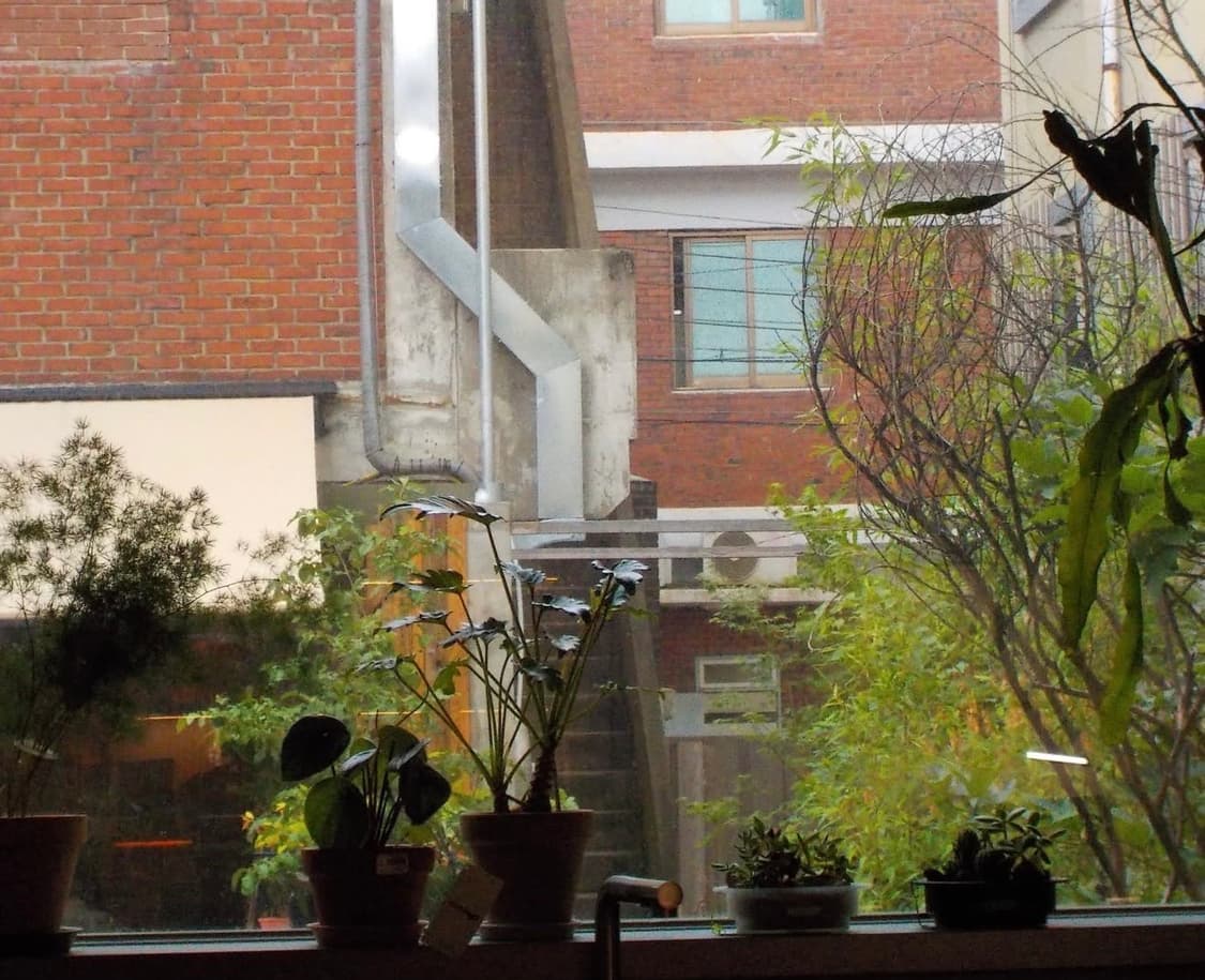 니콘 쿨픽스 s5 nikon coolpix s5 상품이미지4