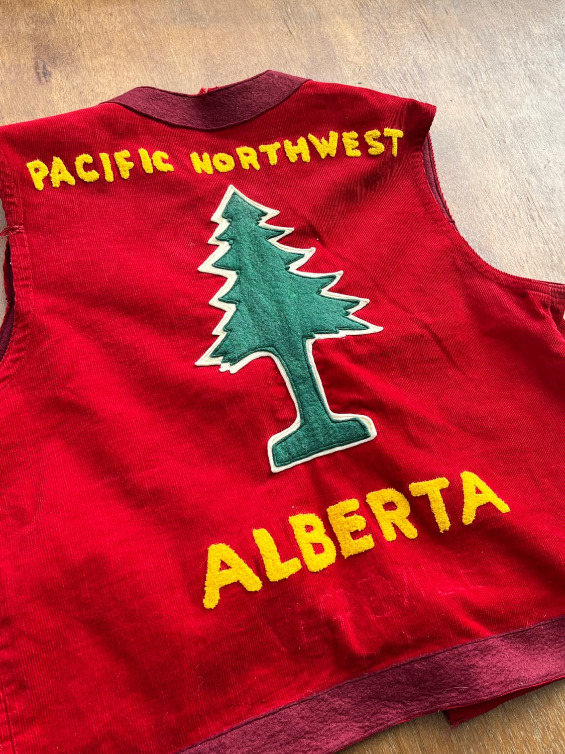 Lions Club Alberta Felt Vest 상품이미지2