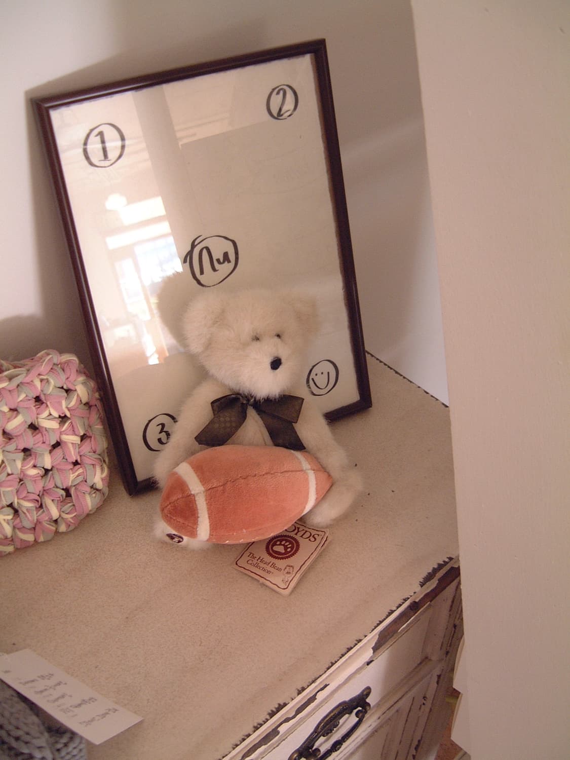 파인픽스 4700z 다음버전 4800z! 상품이미지7