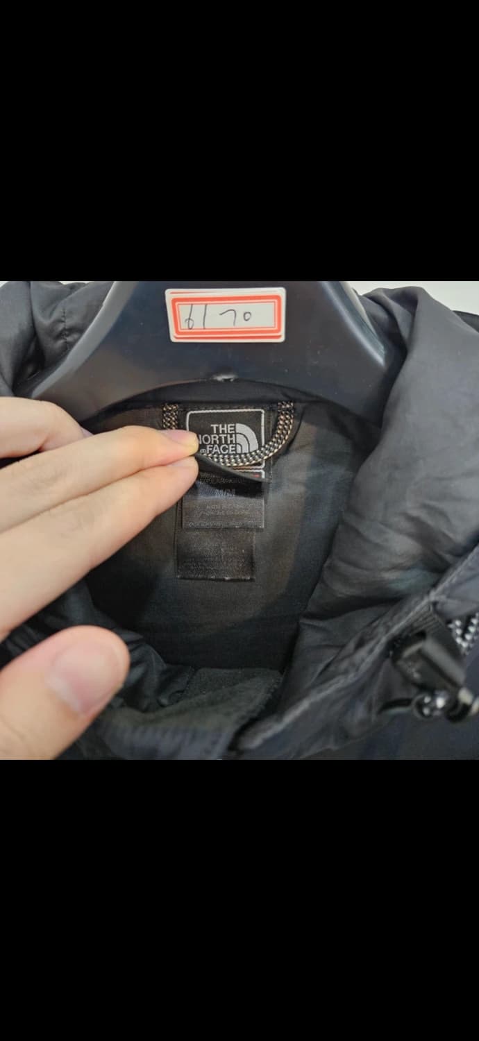 노스페이스 해외판 써밋시리즈 패딩 상품이미지5