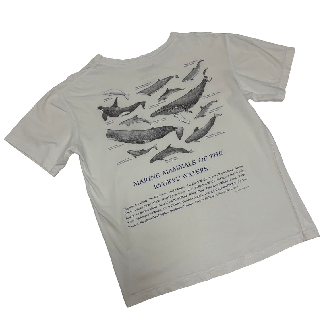 카이소(Kaisou) 오키나와 마린 맘말 류큐 그래픽 티셔츠 상품이미지1