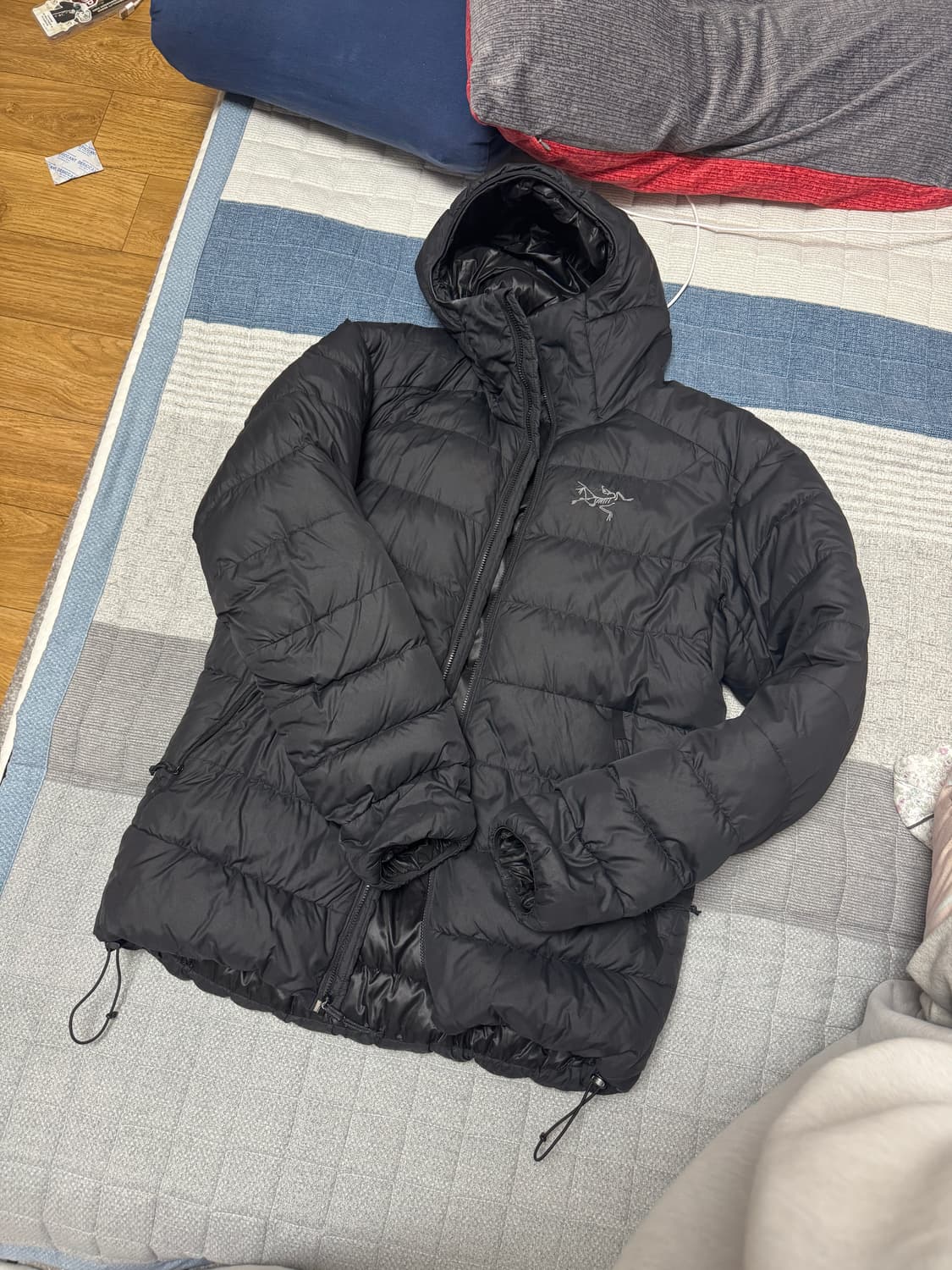 아크테릭스 토륨 AR 후디 파라독스 S 상품이미지1