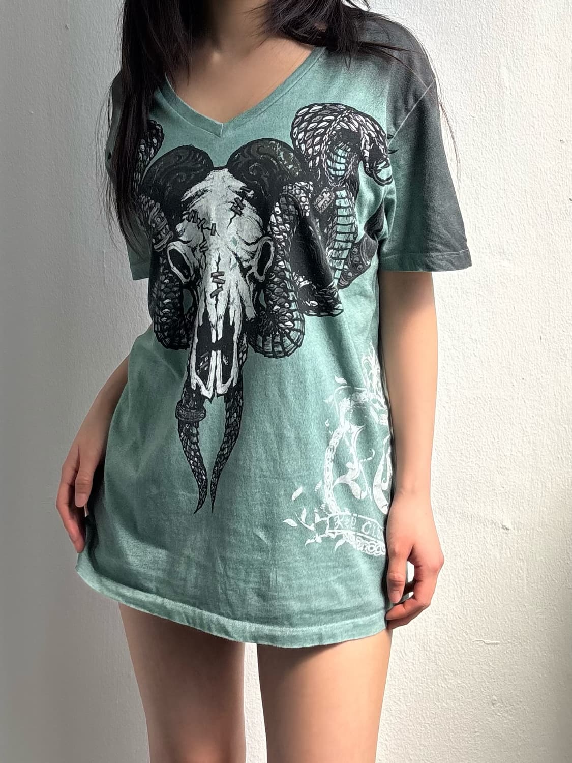 Key Closet Cobras and Buffalo T-Shirt 상품이미지2