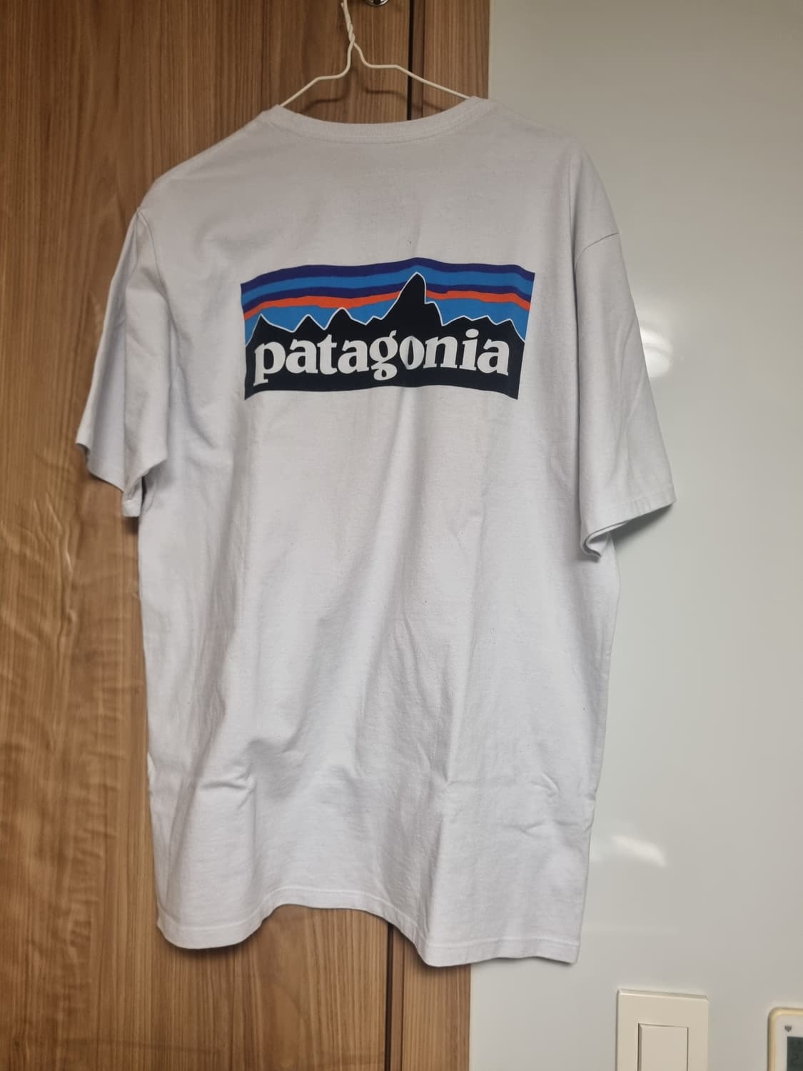 파타고니아 로고 반팔티 상품이미지1