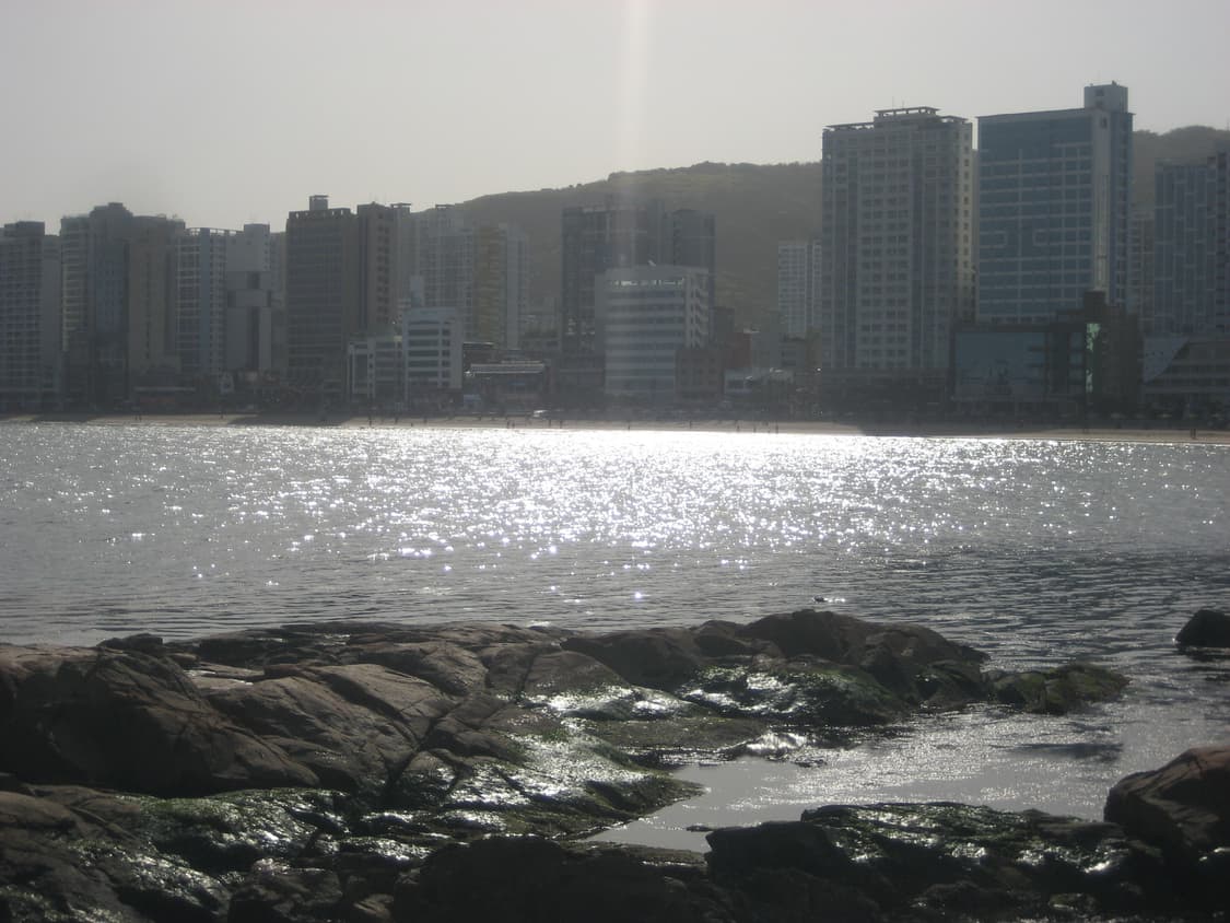 캐논 파워샷 sd600 (익서스 ixus 60) 빈티지 디카 판매 상품이미지5