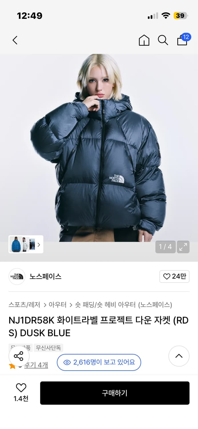 노스페이스 프로젝트 다운 상품이미지1