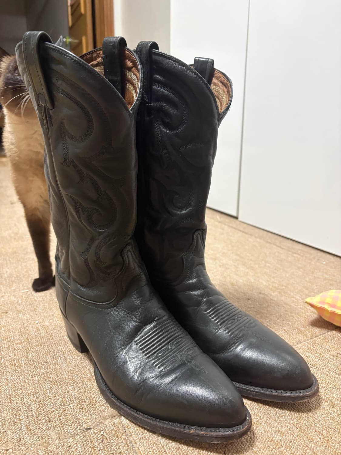 토니라마 웨스턴부츠 판매 합니다 상품이미지1