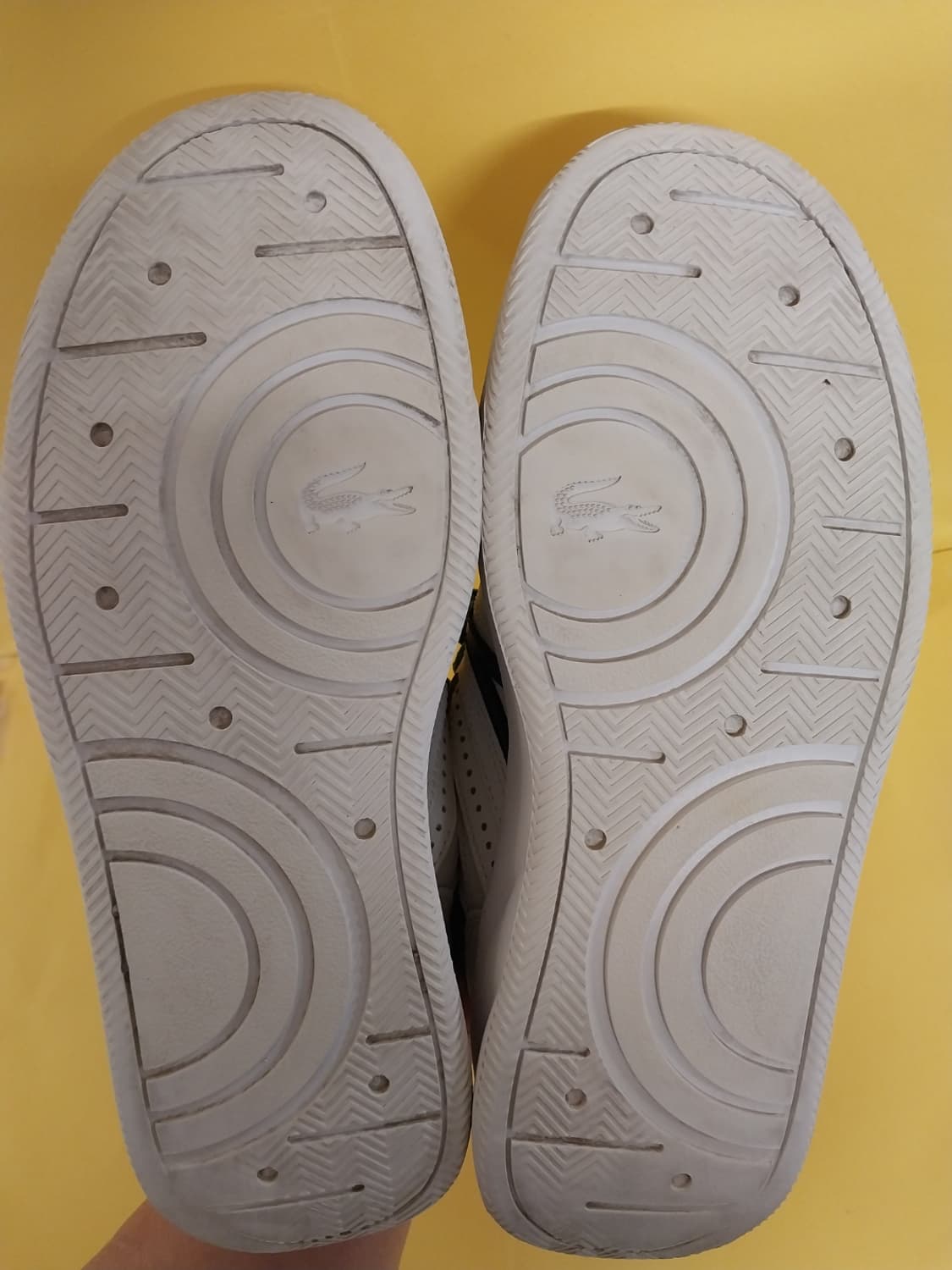 남성 라코스테 가죽 스니커즈, 운동화 (250) 상품이미지8