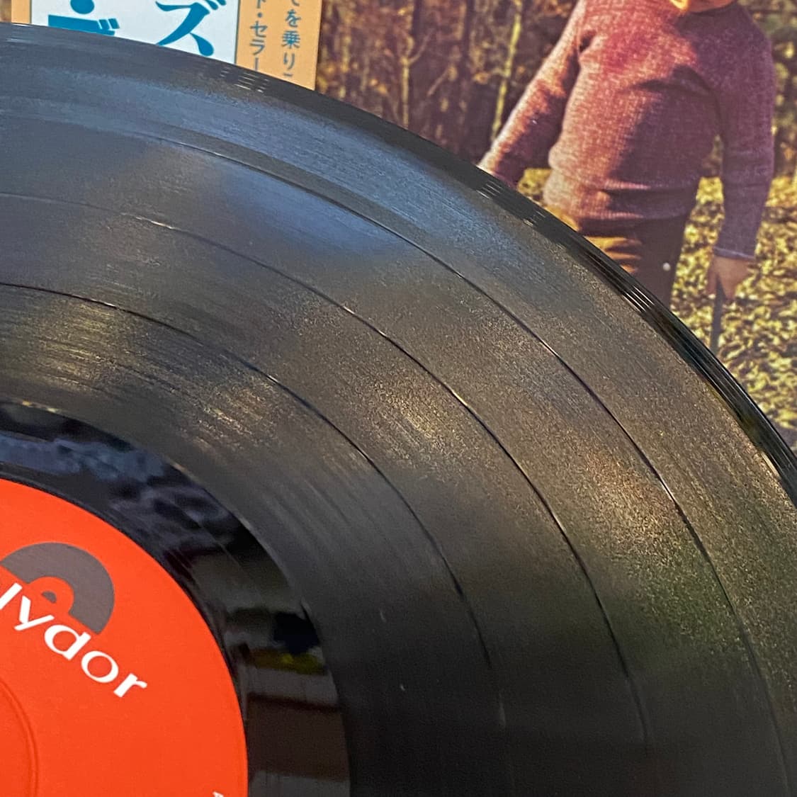 (LP) The Allman Brothers Band - Brothers 상품이미지6