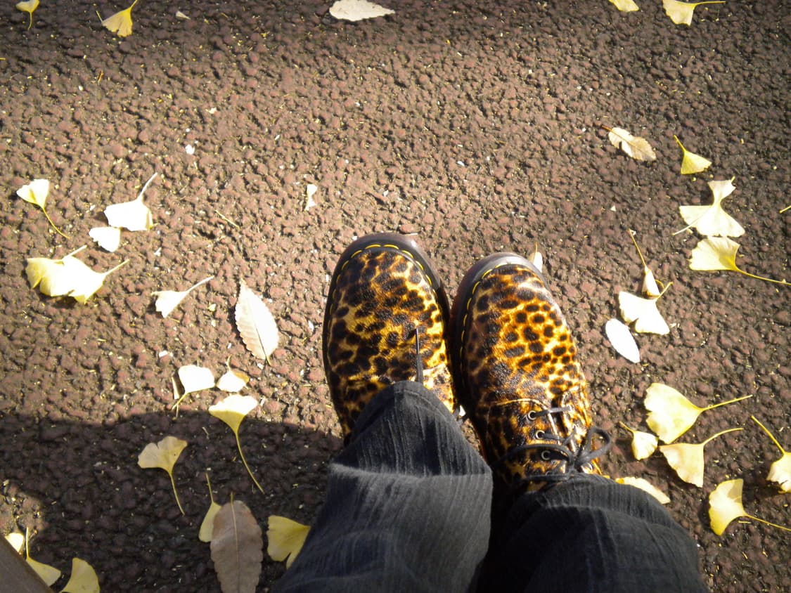 풀구성) Nikon 니콘 쿨픽스 s230 빈티지 디카 실버 디카 상품이미지9