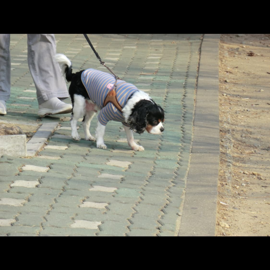 작례⭕️ 카시오 엑슬림 EX-H20G 메이크업모드 ❤️ 상품이미지6