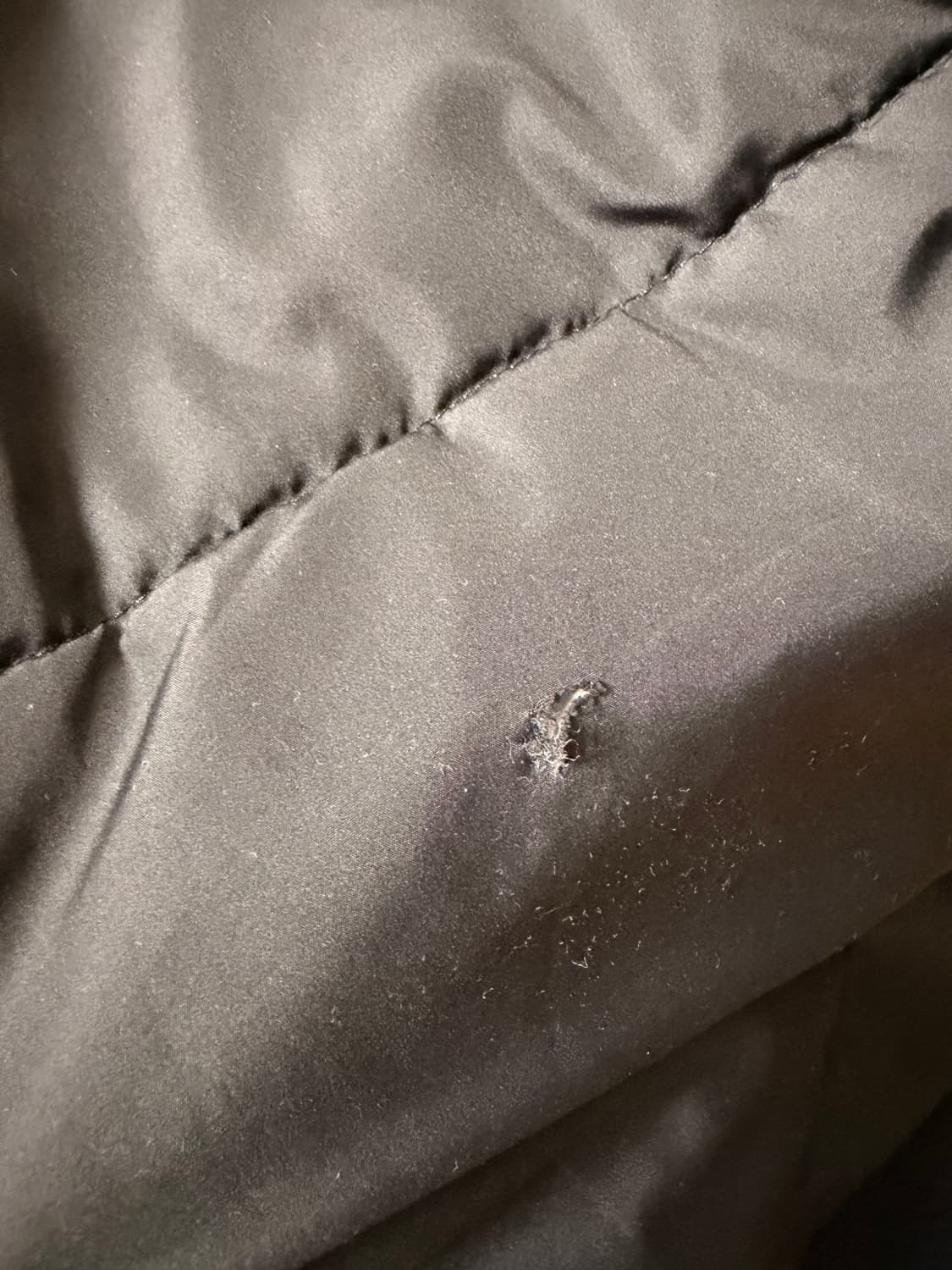 스파오 패딩 상품이미지2