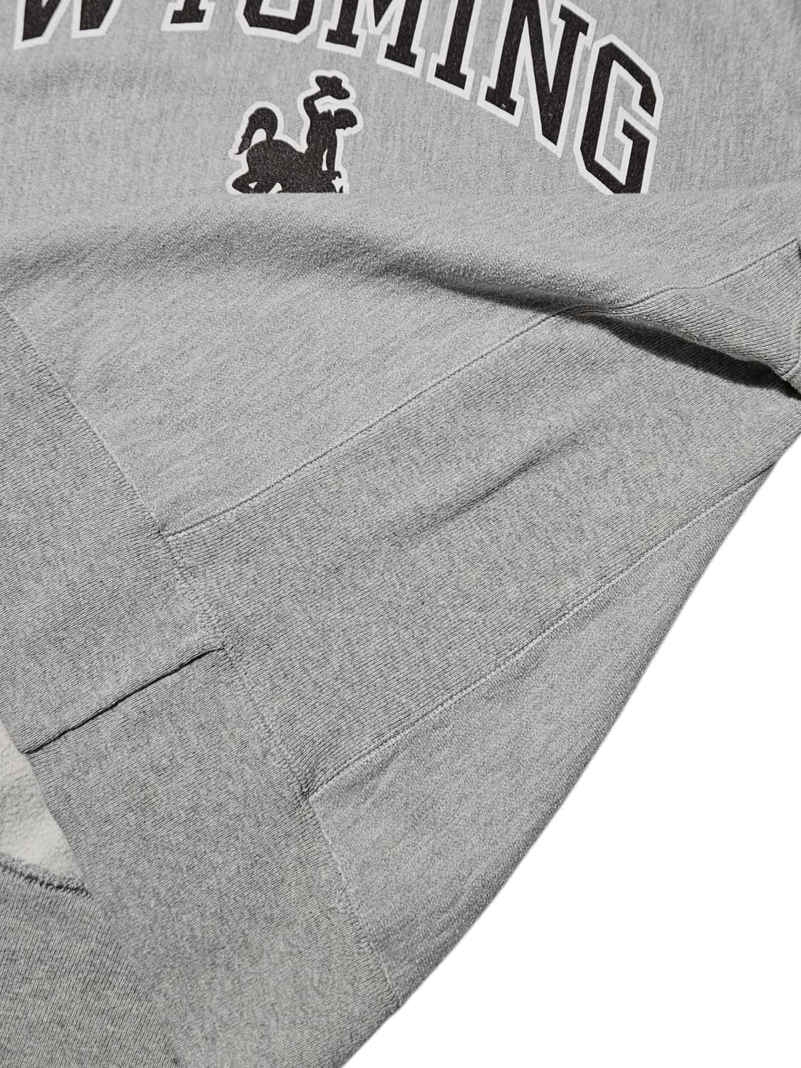 챔피온 리버스위브 Whoming 웨스턴 와이오밍 L 상품이미지4