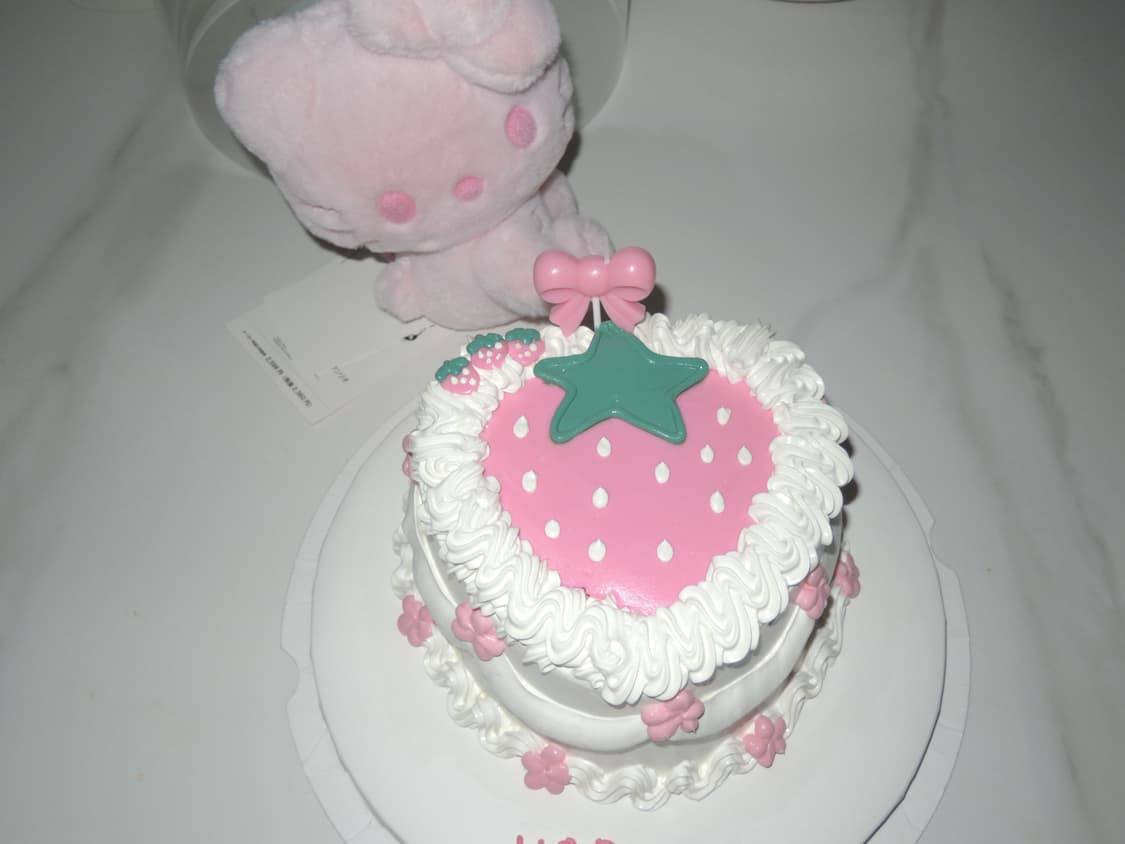 니콘 쿨픽스 p310 상품이미지6