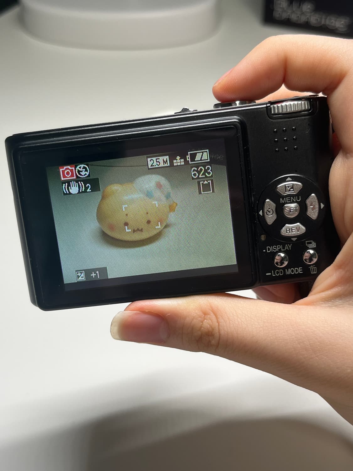 파나소닉 루믹스 DMC FX3 (작례있음) 상품이미지7