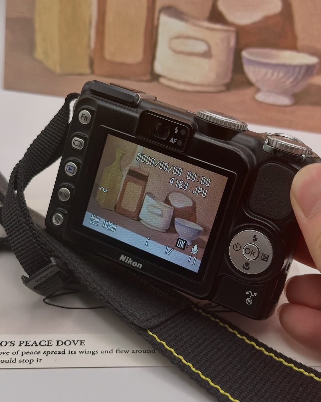 니콘 쿨픽스 P5000 상품이미지5