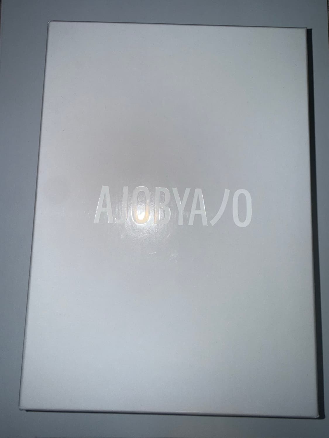 Dog Tag Layered Necklace [SILVER] 상품이미지5