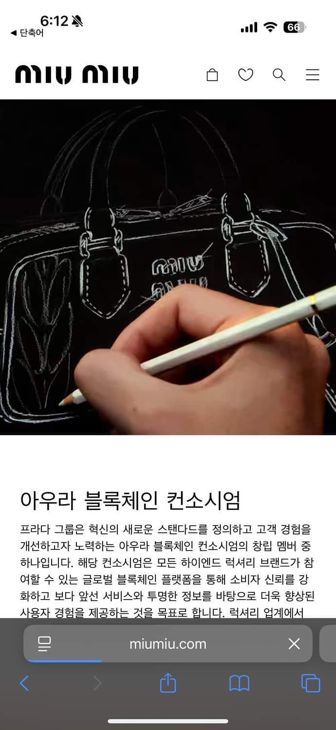 25SS 미우미우 울 폴로 니트 정품 상품이미지7