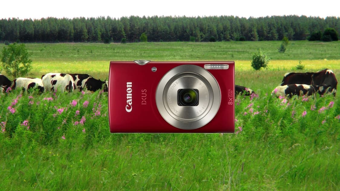 📸 캐논 IXUS 185 (IXY200) 빈티지 디지털카메라 판매 상품이미지1