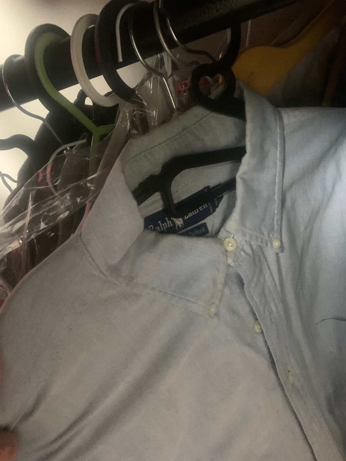 폴로 빅 옥스포드 xl 상품이미지1