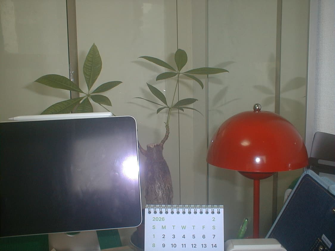 엡손 PhotoPC 700 빈티지 디지털카메라 상품이미지8