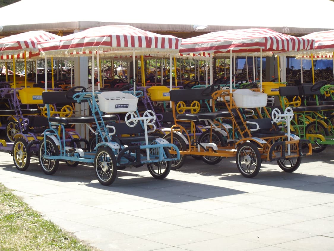 (직접찍은 작례) 펜탁스 Optio E40 디지털 카메라 상품이미지4