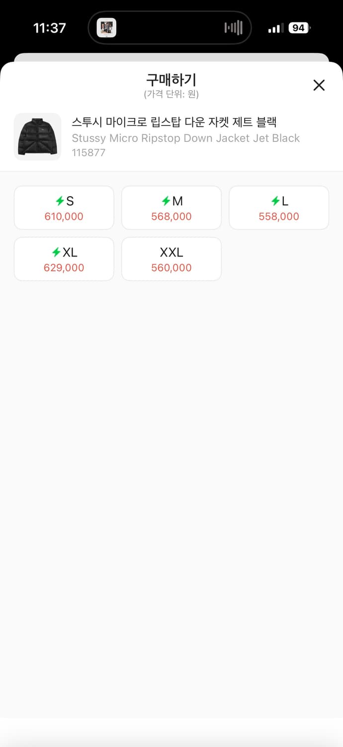 (새상품) 스투시 마이크로 립스탑 다운 자켓 상품이미지3