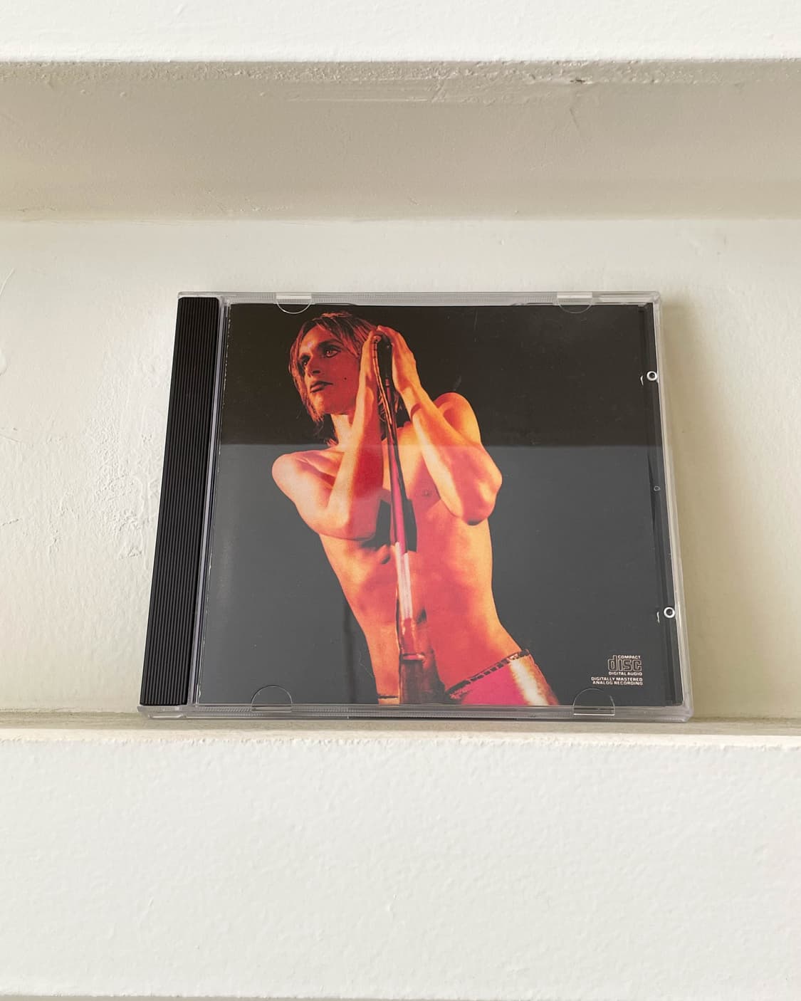 Iggy and the stooges 상품이미지1