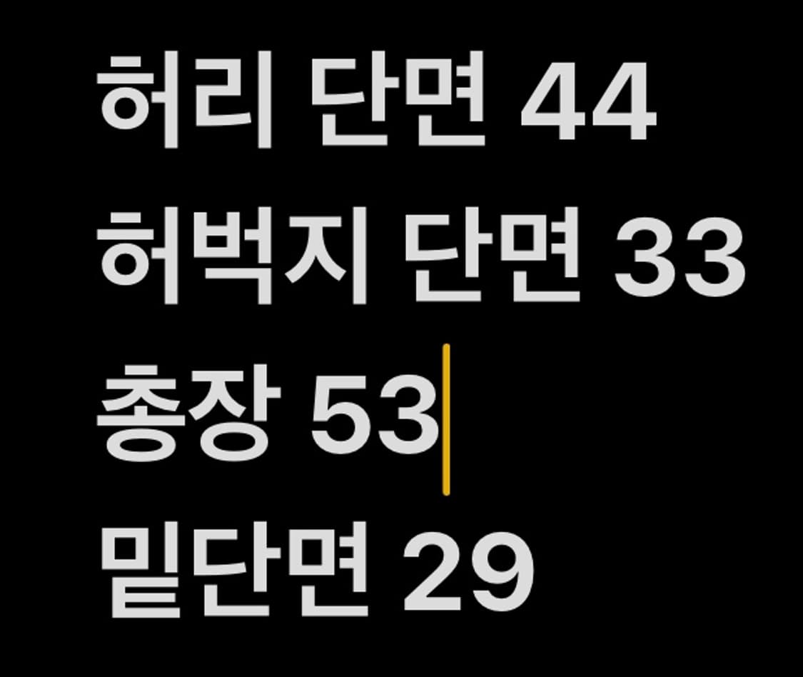 [ 정품/34 ] 폴로 랄프로렌 클래식핏 반바지 b15 상품이미지7