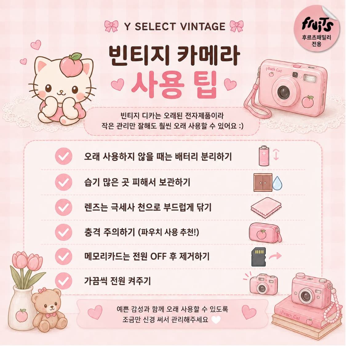 A급 한국어지원) 캐논 익서스 750 실버 빈티지 디카 상품이미지9